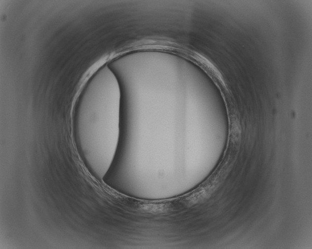 X0000087541419200704270912