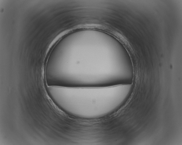 X0000087541420200704270912