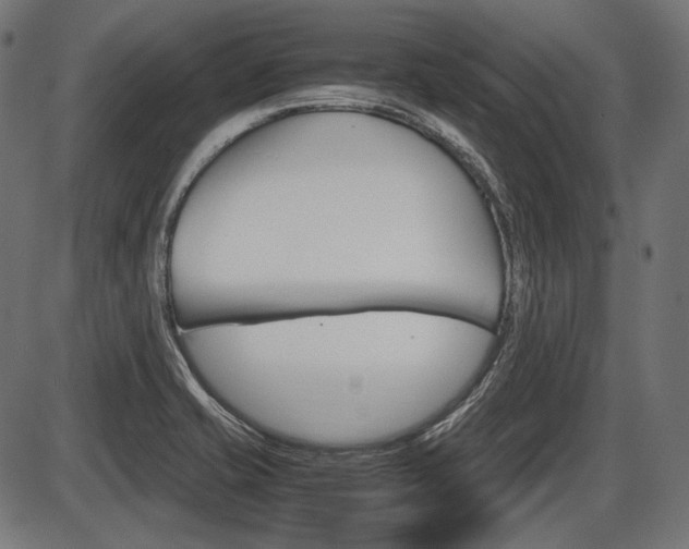 X0000087541421200704270912