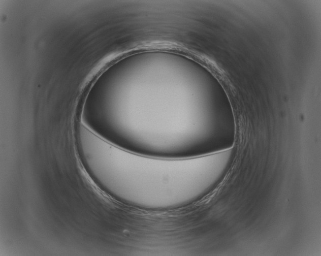 X0000087541422200704270912