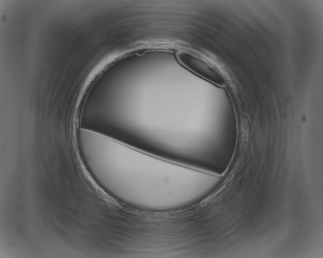 X0000087541424200704270912
