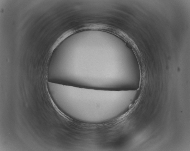 X0000087541425200704270912