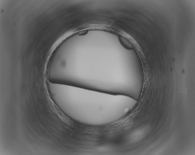 X0000087541427200704270912