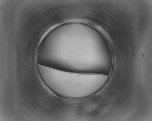 X0000087541428200704270912