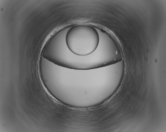 X0000087541432200704270912