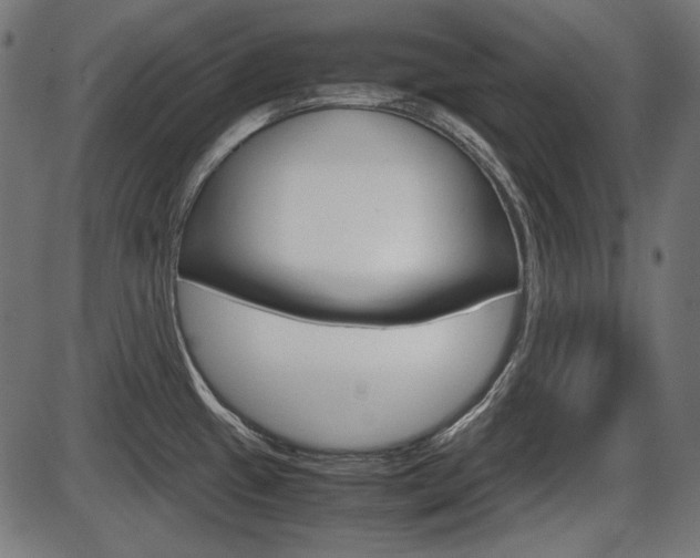 X0000087541433200704270913