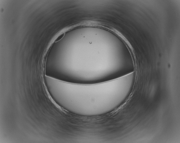 X0000087541437200704270913
