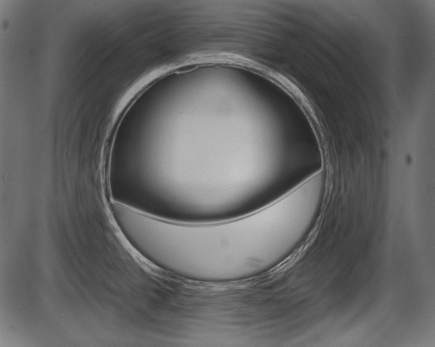 X0000087541438200704270913
