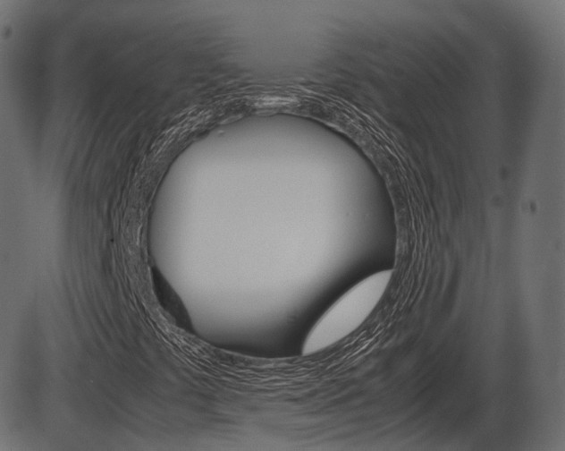 X0000087541441200704270912