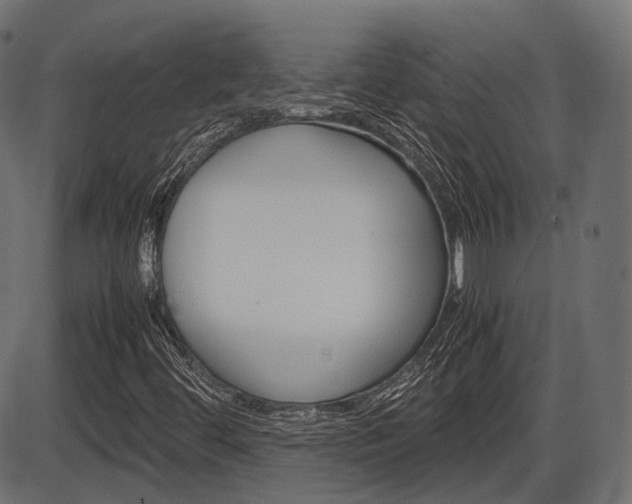 X0000087541444200704270912