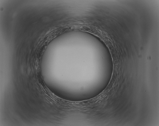 X0000087541445200704270912