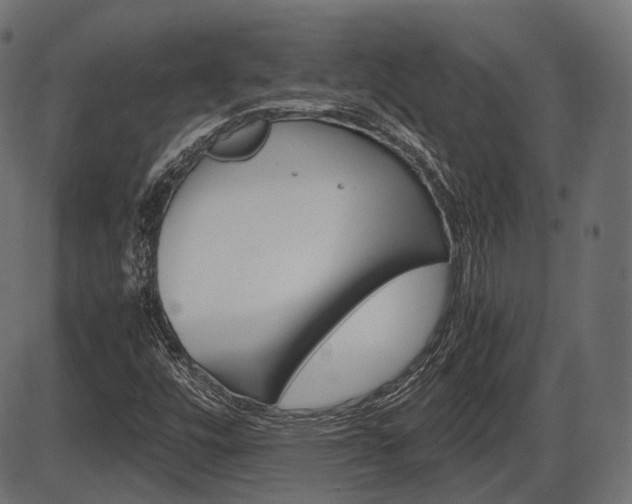 X0000087541448200704270912