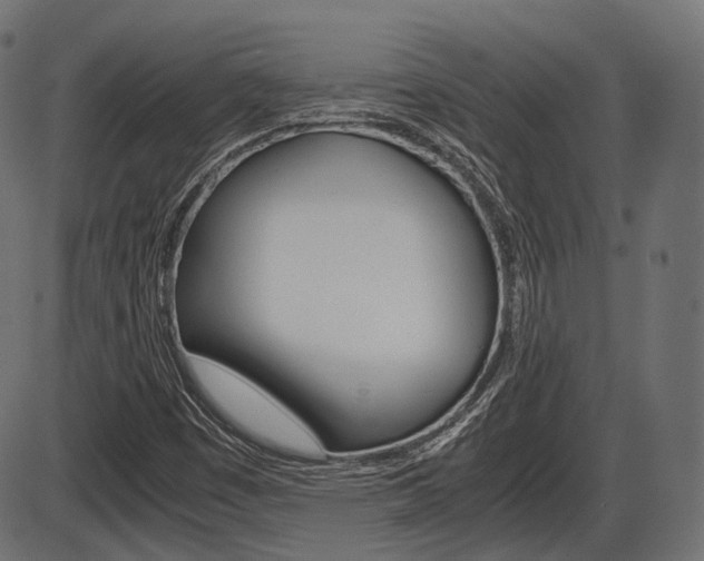 X0000087541449200704270912