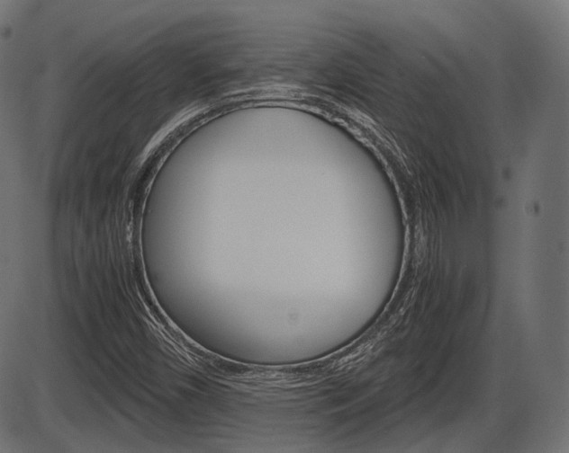 X0000087541450200704270912