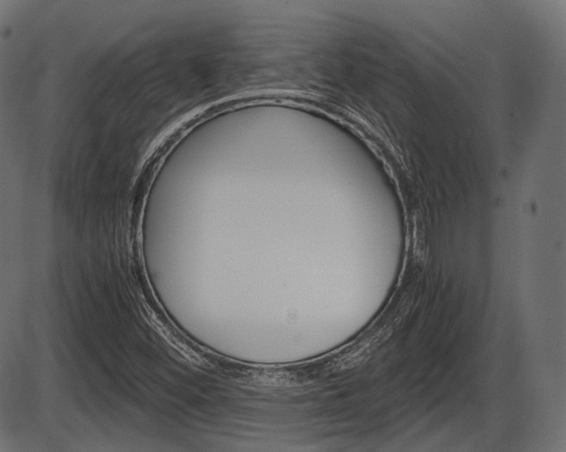 X0000087541452200704270912