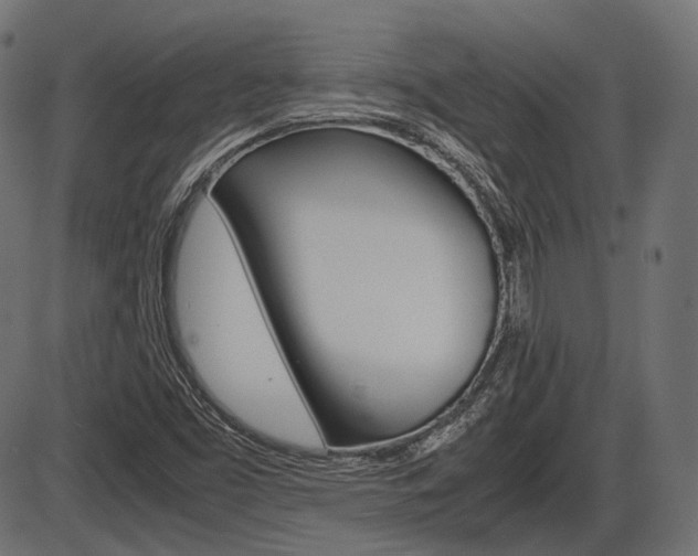 X0000087541453200704270912