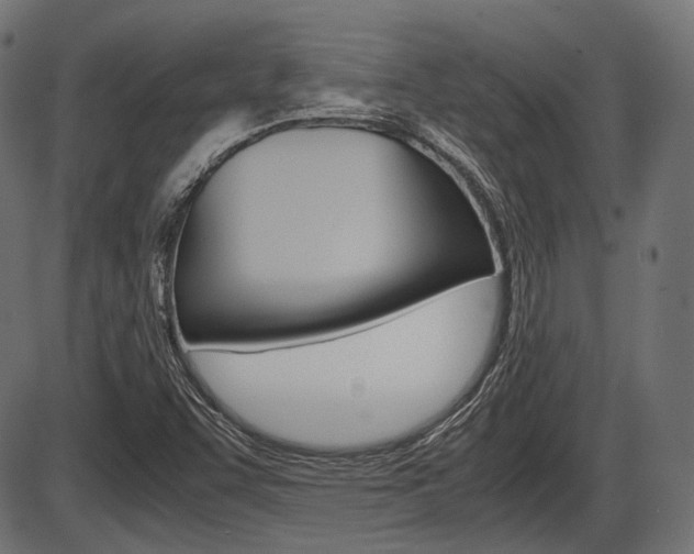 X0000087541455200704270912