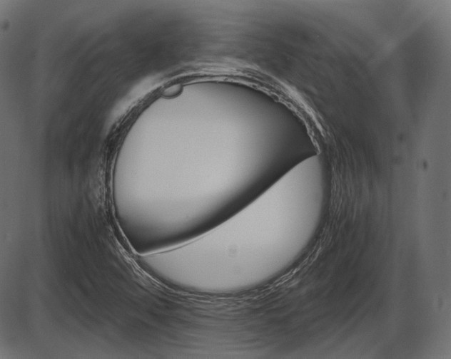 X0000087541456200704270912