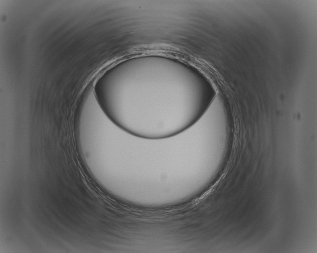X0000087541457200704270912