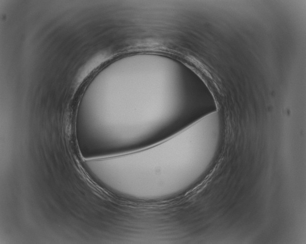 X0000087541458200704270912