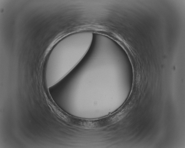 X0000087541459200704270912