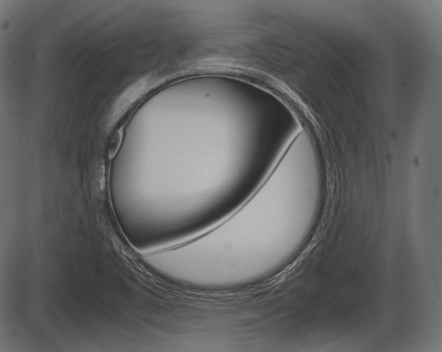 X0000087541461200704270912