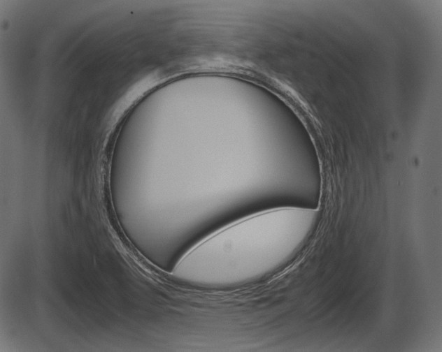 X0000087541463200704270911