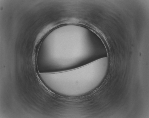 X0000087541464200704270911