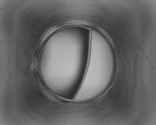 X0000087541465200704270911