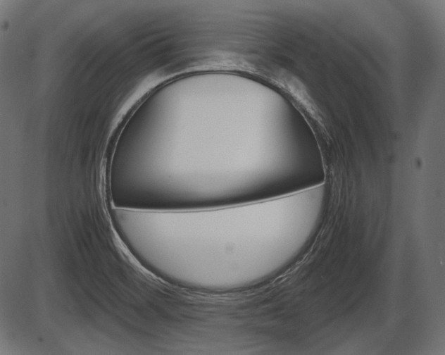 X0000087541468200704270911