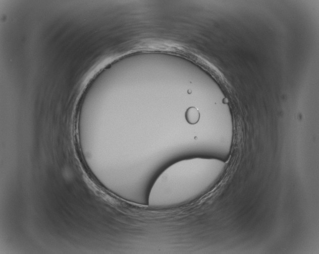 X0000087541471200704270911