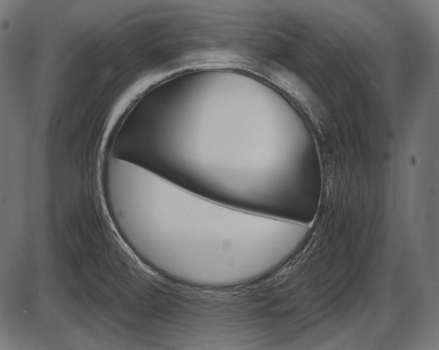 X0000087541472200704270911