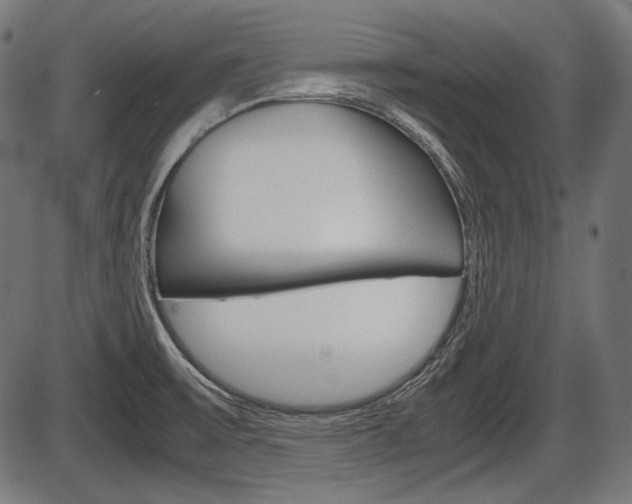 X0000087541475200704270911