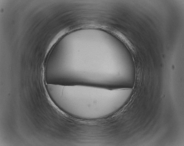 X0000087541476200704270911