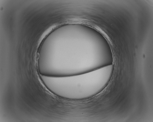 X0000087541477200704270911