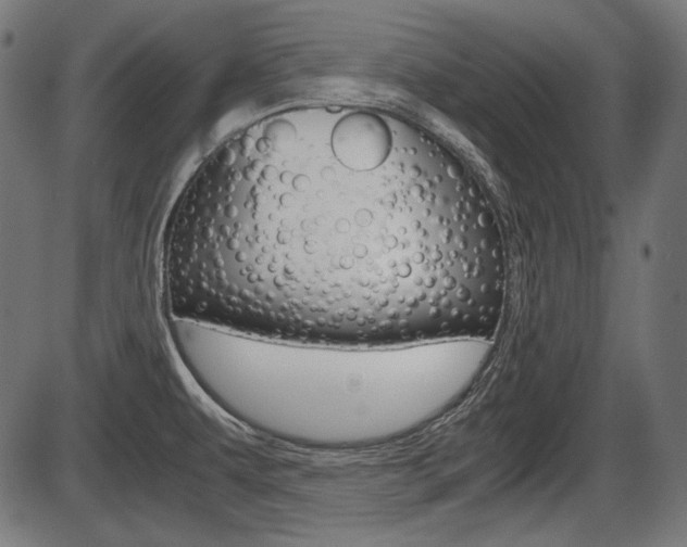 X0000087541479200704270911