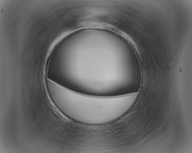 X0000087541480200704270911