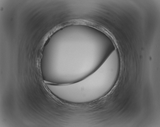 X0000087541481200704270911