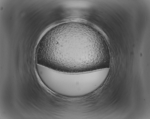 X0000087541483200704270911