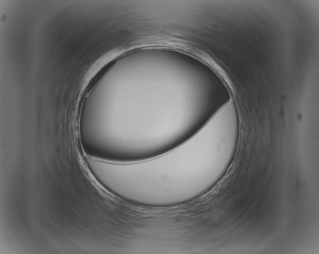 X0000087541485200704270911