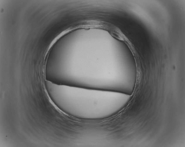 X0000087541487200704270911