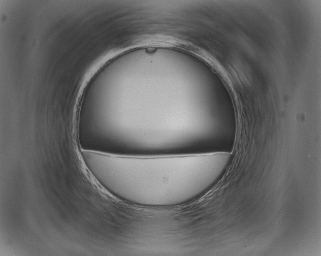 X0000087541488200704270911