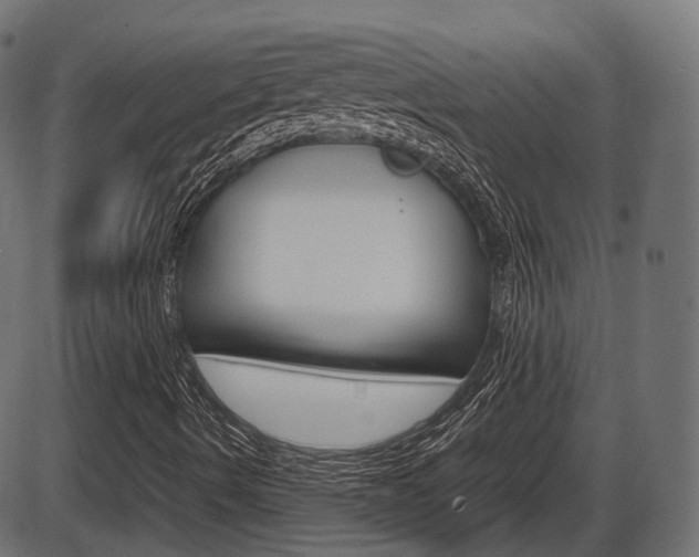 X0000087541490200704270910