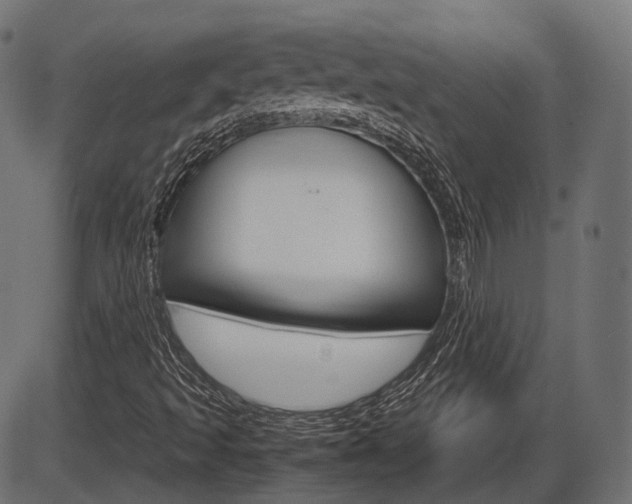 X0000087541493200704270910