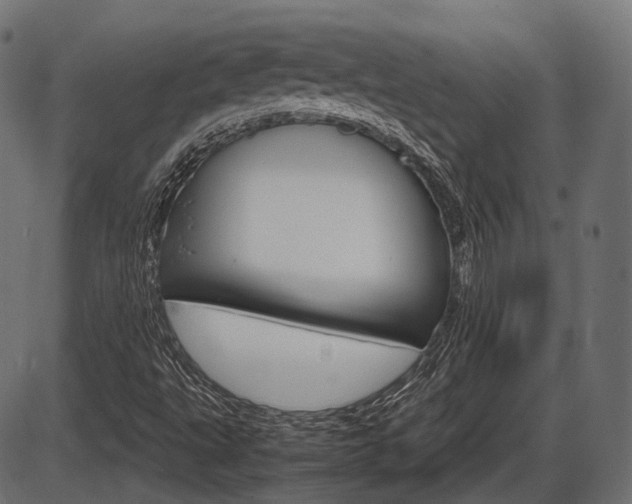 X0000087541495200704270910