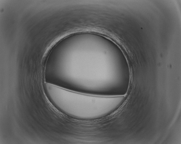 X0000087541500200704270910
