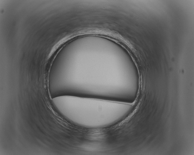 X0000087541501200704270911