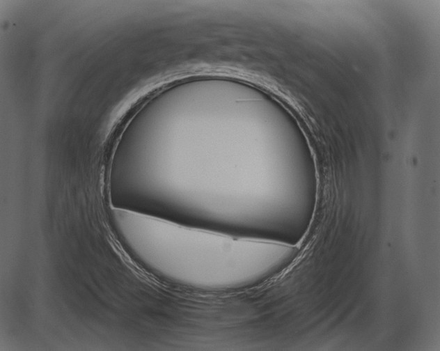 X0000087541503200704270911