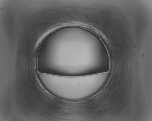 X0000087541504200704270911