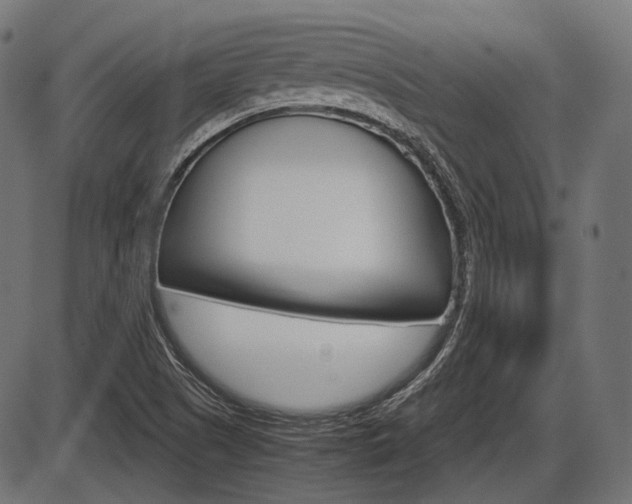 X0000087541505200704270911